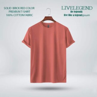 Mens Premium Blank T-shirt ....Brick Red Color